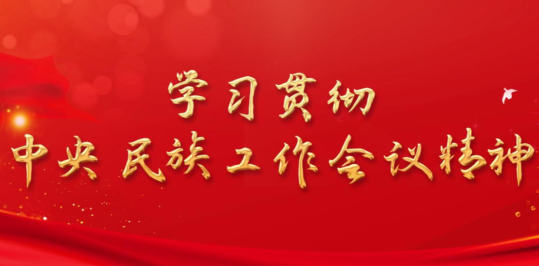 學習貫徹中央民族工作會議精神